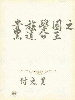 贵族学园之我的黑道公主