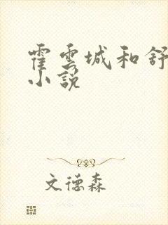 霍云城和舒情的小说