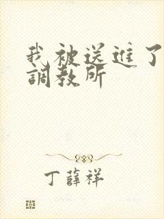 我被送进了私奴调教所