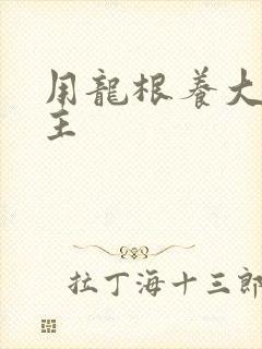 用龙根养大的公主