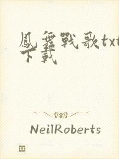 凤舞战歌txt下载