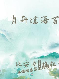 月升沧海百度云