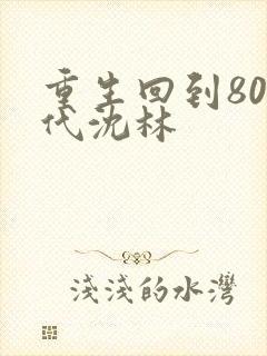重生回到80年代沈林
