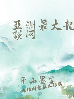 亚洲最大龙腾小说网