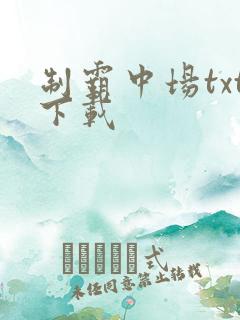 制霸中场txt下载