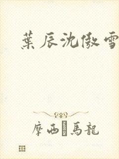 叶辰沈傲雪宁馨