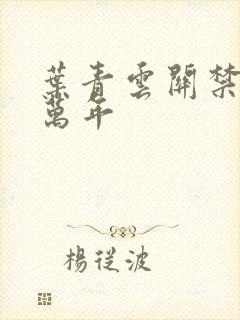 叶青云关禁闭一万年