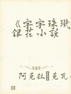 《字字珠玑》金银花小说