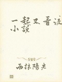 一起又看流星雨小说
