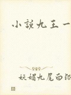 小说九王一后