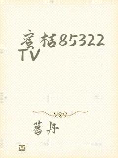 蜜桔85322TV