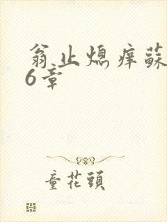 翁止熄痒苏钥第6章