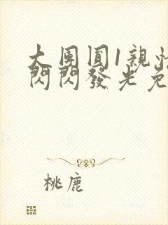 大团圆1亲情会闪闪发光免费