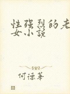 性强烈的老年妇女小说