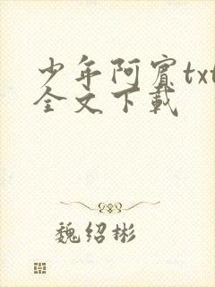 少年阿宾txt全文下载