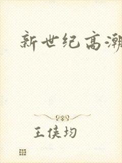 新世纪高潮战队