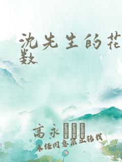 沈先生的花式调数