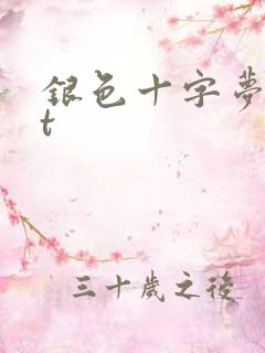 银色十字梦txt