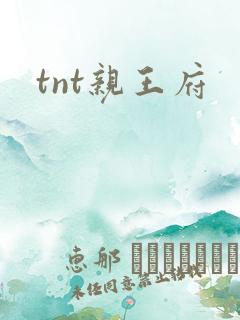 tnt亲王府
