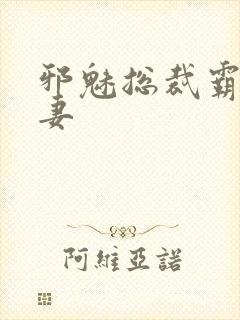 邪魅总裁霸占新妻