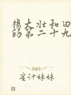 杨大壮和田桂花的第二十九