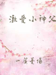 激爱小神父
