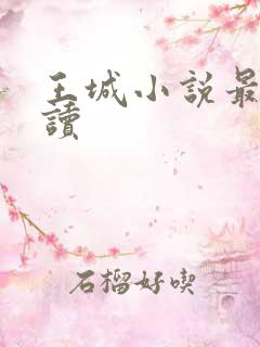 王城小说最近阅读