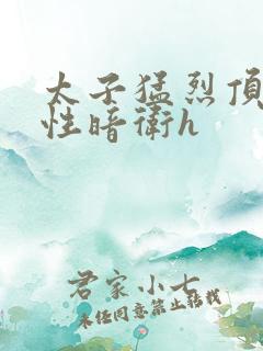 太子猛烈顶弄双性暗卫h