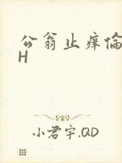 公翁止痒伦理DH