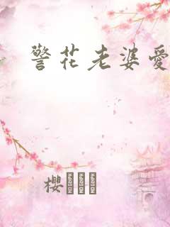 警花老婆爱上我