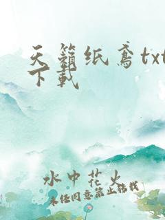 天籁纸鸢txt下载