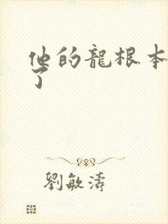 他的龙根本太大了