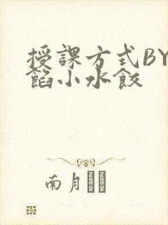授课方式BY肉馅小水饺