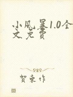 小风暴1.0全文免费