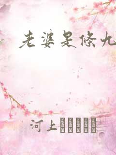 老婆是条九尾狐