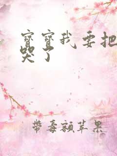 宝宝我要把你顶哭了