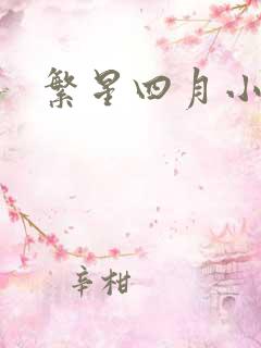 繁星四月小说
