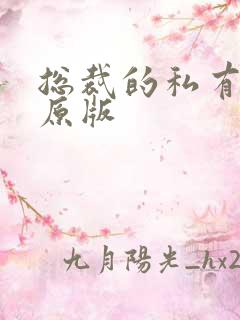 总裁的私有宝贝原版