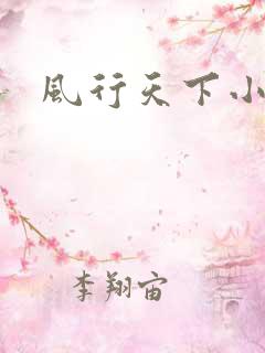 风行天下小说