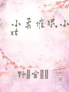 小柔催眠小说txt