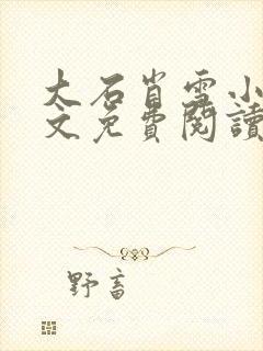 大石肖雪小说全文免费阅读