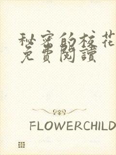 秘密的校花小说免费阅读