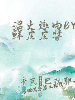 温火炖肉BY海鲜皮皮酱