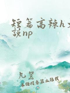 短篇高辣h文小说np