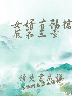 女婿有劲枪枪到底第三章