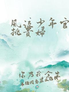 风流少年官途情挑贵妇