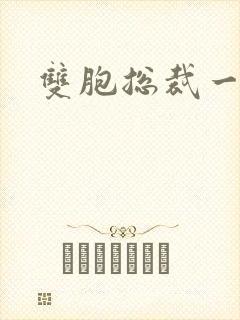 双胞总裁一个妻