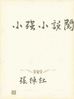 小强小说阅读网