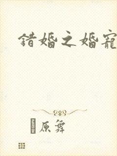 错婚之婚宠一世