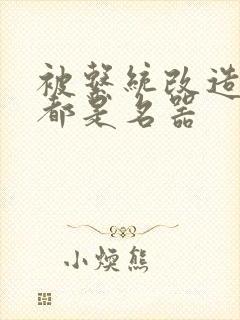 被系统改造全身都是名器